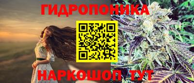 СК Кандалакша