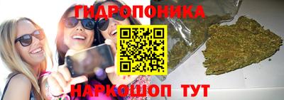 ешки Кинель